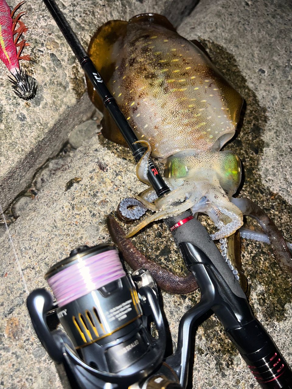 DAIWA 21エメラルダス ストイスト RT 88MLの最安値・インプレ・釣果