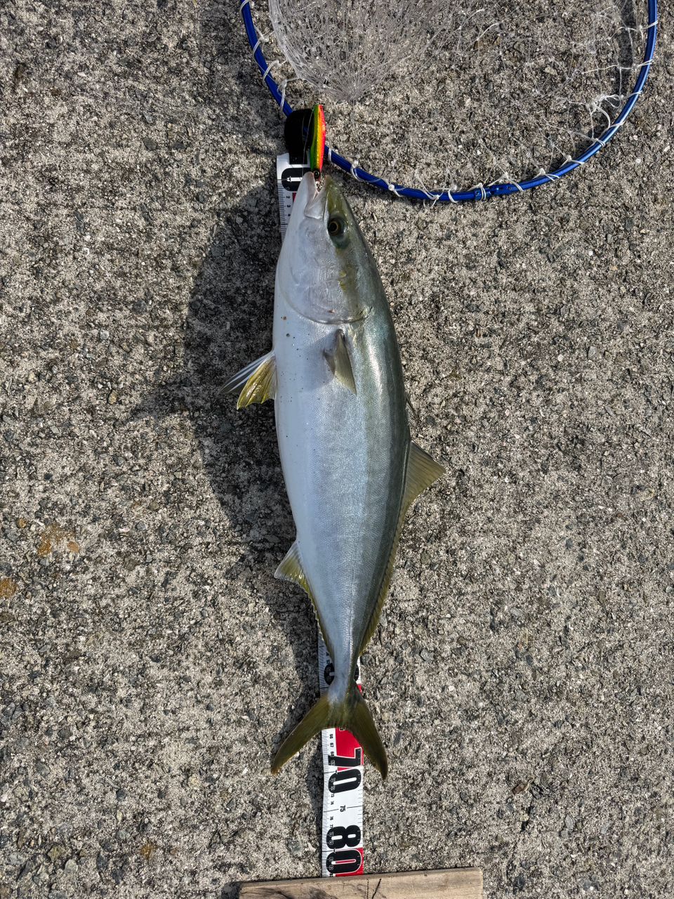 SHIMANO 20コルトスナイパー XR S96Hの最安値・インプレ・釣果 | 本音