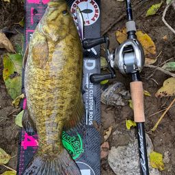 スモールマウスバス