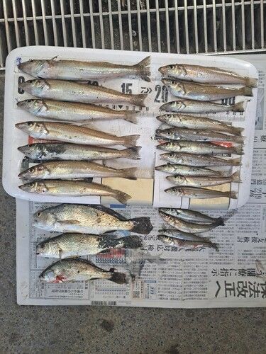 サザンビーチ付近