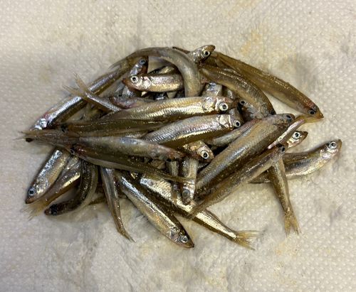 野尻湖（長野）