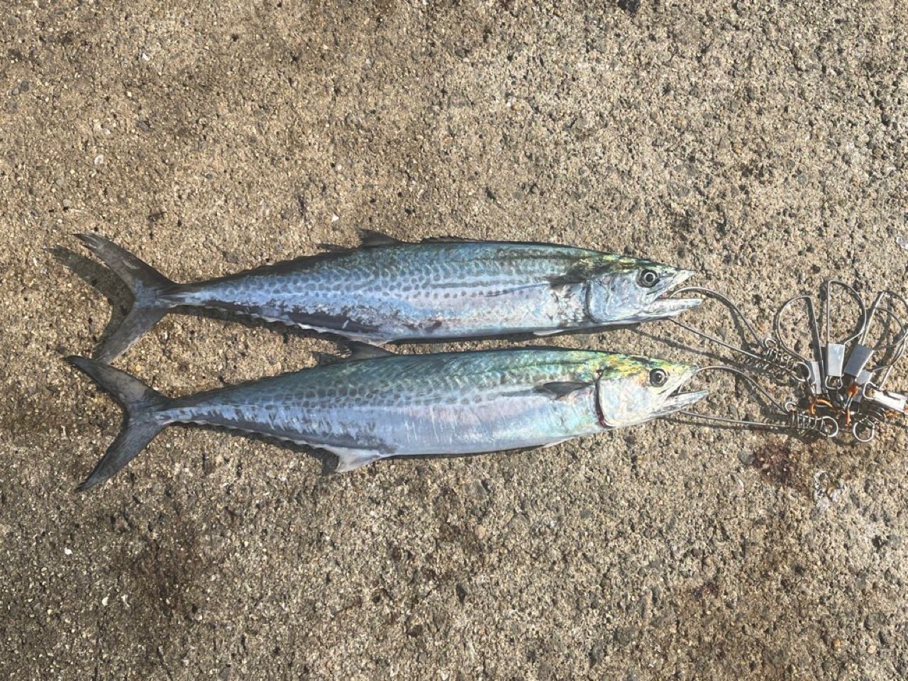 SHIMANO 22コルトスナイパーSS LSJ S96MLの最安値・インプレ・釣果