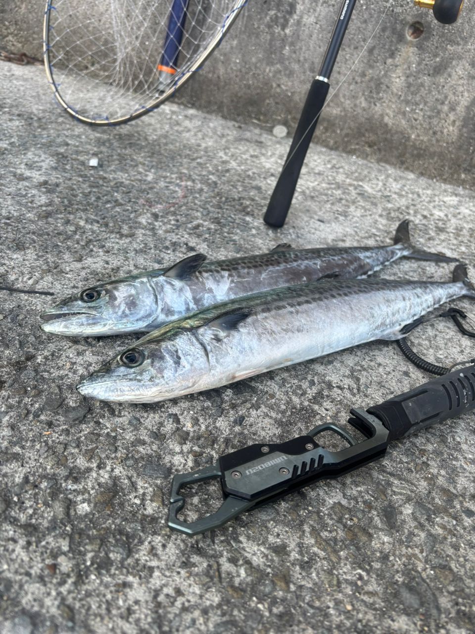 SHIMANO 20コルトスナイパー XR S106H/PSの最安値・インプレ・釣果