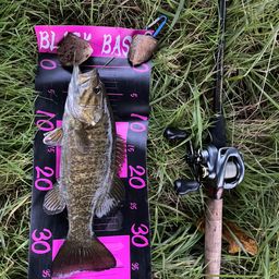 スモールマウスバス