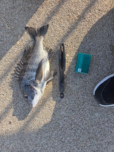 宇品波止場公園