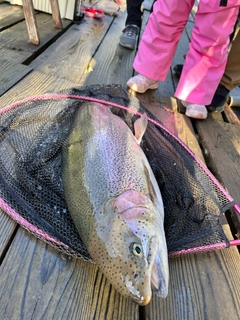 トラウトの釣果