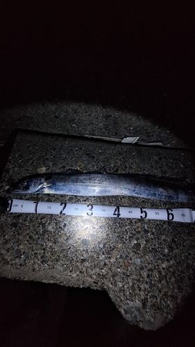 ディズニーリゾート付近