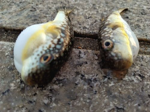 小名浜港アクアマリンふくしま周辺