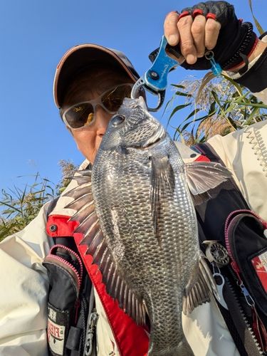 大野お台場公園前