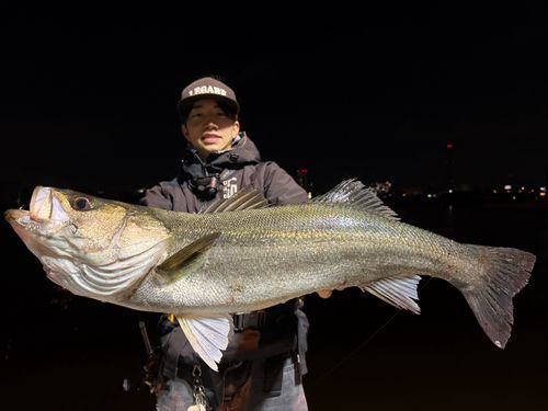東京湾（アクアライン〜富津）