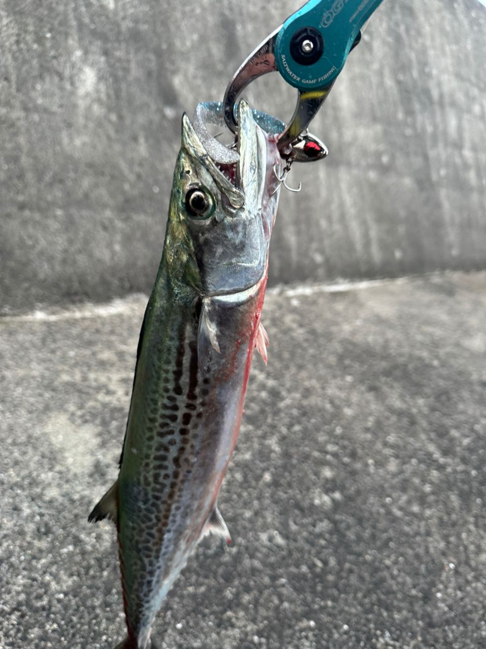 コルトスナイパーXR100ML SHIMANO 20コルトスナイパー XR S100MLの最安値・インプレ・釣果