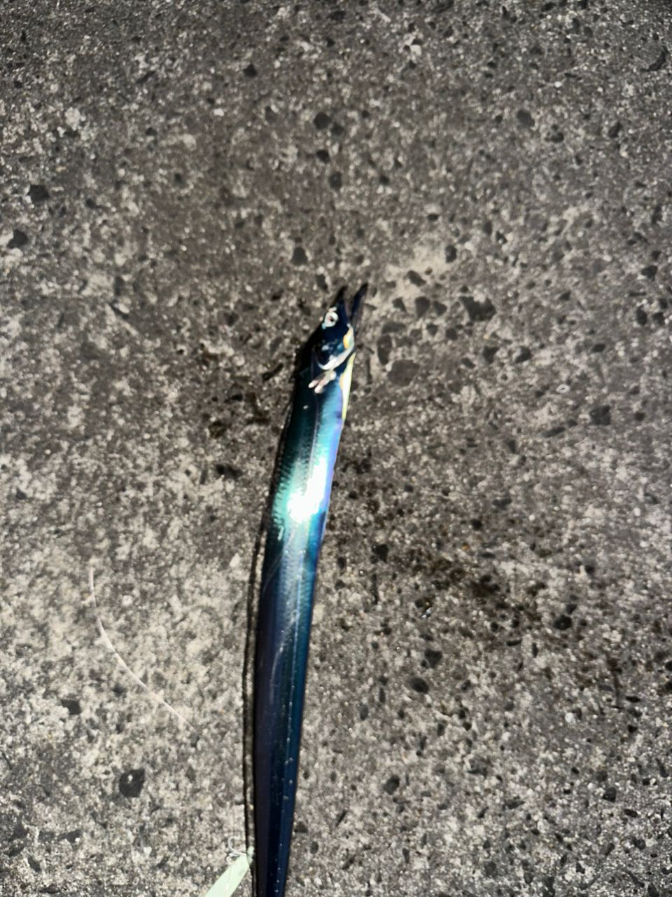 SHIMANO 20コルトスナイパー XR S100MLの最安値・インプレ・釣果