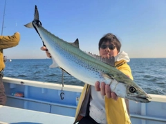 サワラの釣果