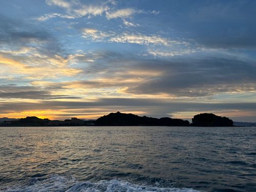 アカヤガラの釣果