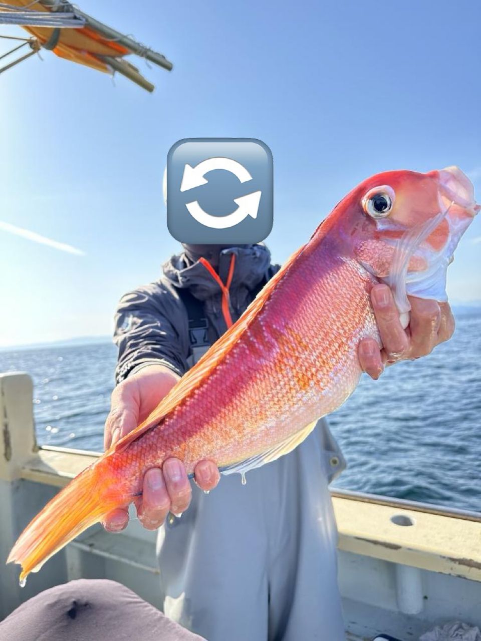 アングラー99984426うっかりカサゴさんの釣果 3枚目の画像