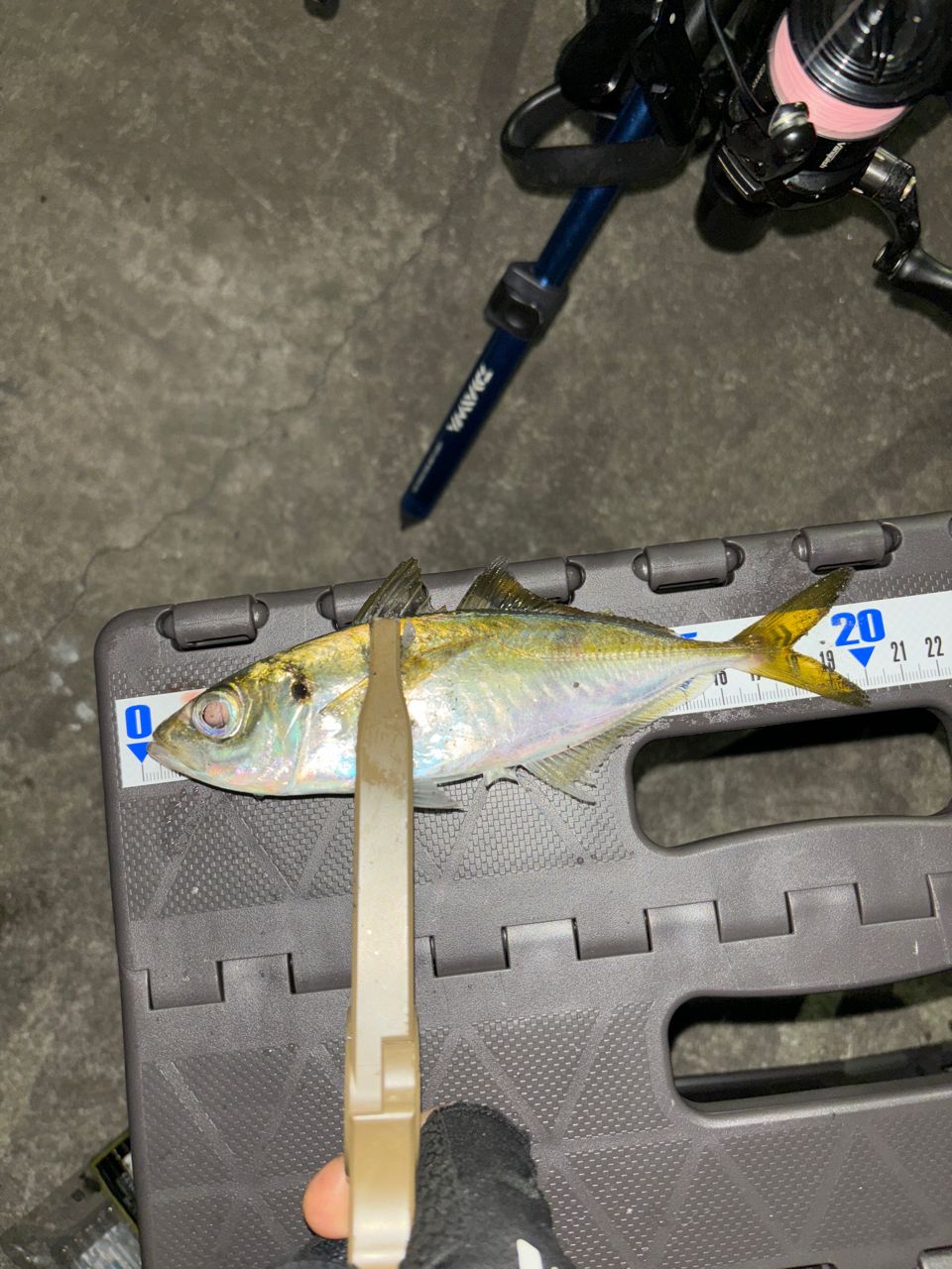 Gamakatsu ラグゼ 宵姫 華 弍 S57UL+-solidの最安値・インプレ・釣果