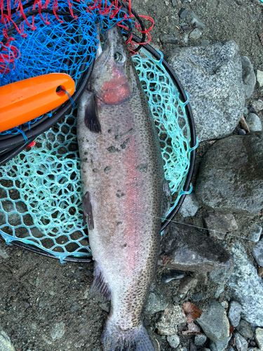 うらたんざわ渓流釣場