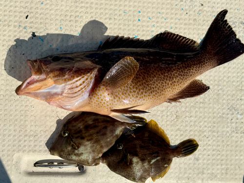 三ツ石（真鶴）