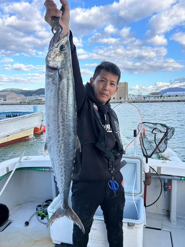 サワラの釣果
