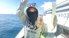 カワハギの釣果