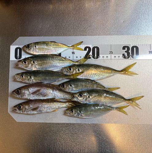 本牧海づり施設