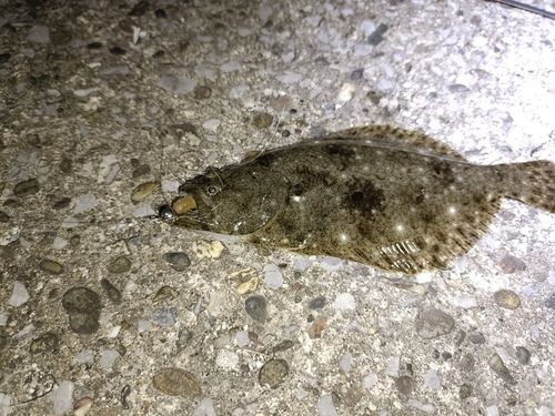 ディズニーリゾート付近