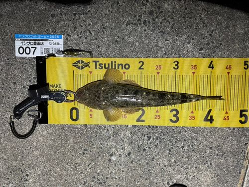 常滑りんくう釣り護岸