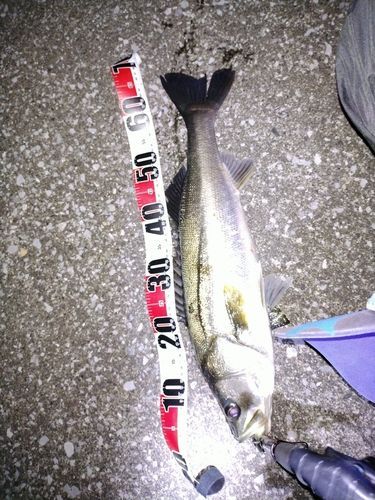 千葉港中央埠頭