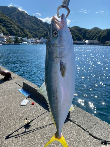 釣果