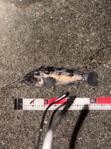 五十鈴川河口（伊勢）