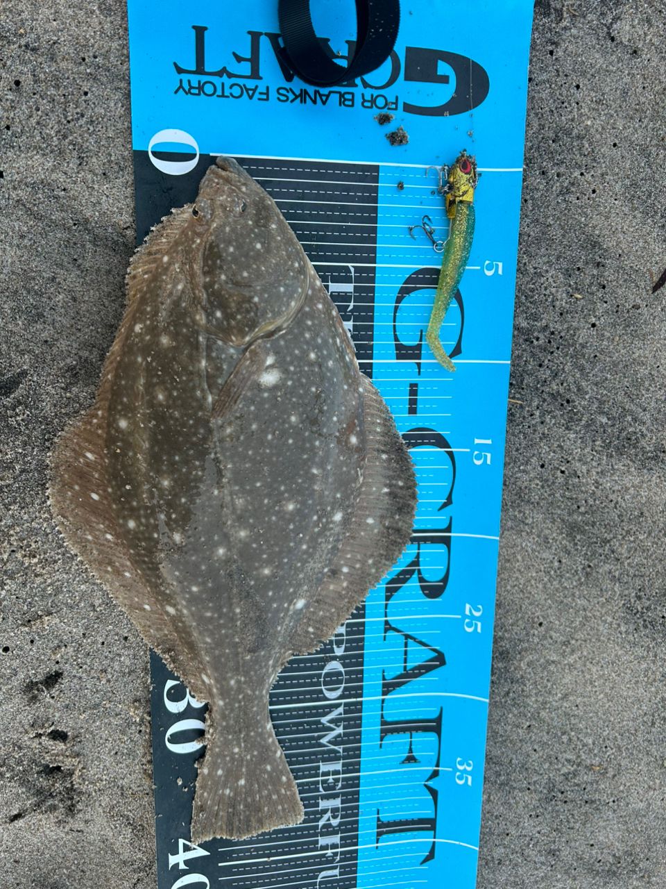 GCRAFT セブンセンスTR モンスターサーフリミテッド MSLS-1072-TRの最