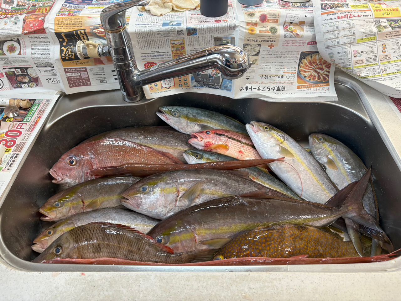 太陽丸／長崎県の予約可能な船釣りプラン・料金案内-24h受付でお得に