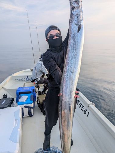 タチウオの釣果