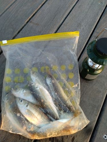 小名浜港アクアマリンふくしま周辺