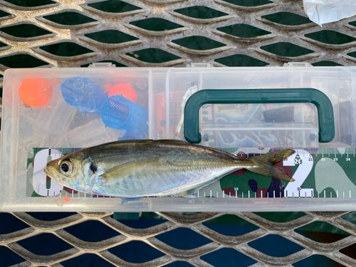 本牧海づり施設