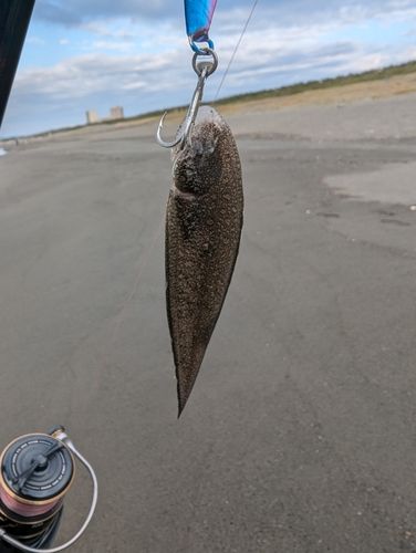 辻堂海浜公園前