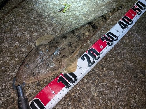 常滑りんくう釣り護岸