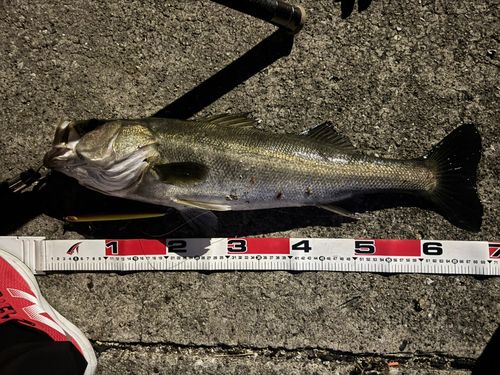 千葉港中央埠頭