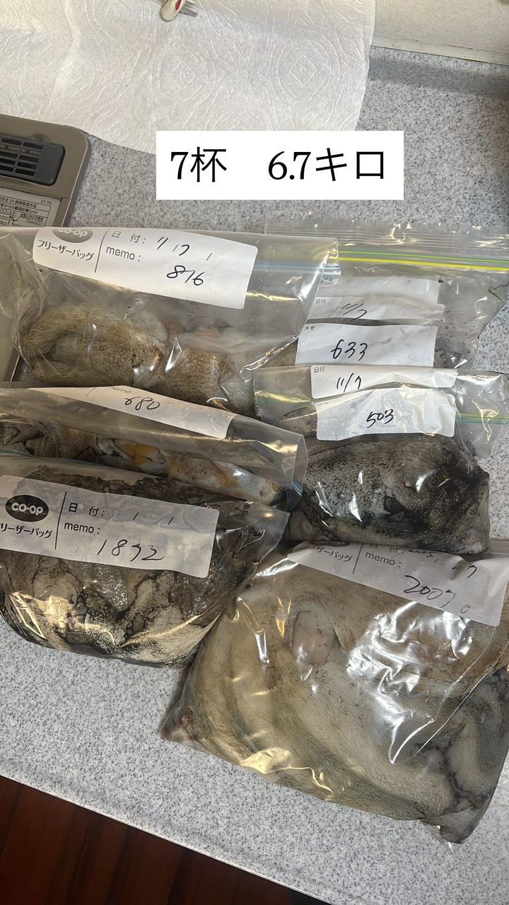 CFC SHUさんの釣果 2枚目の画像