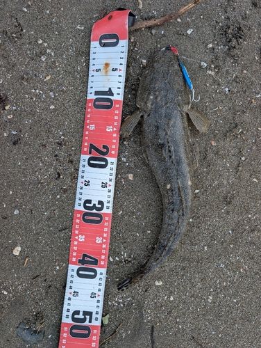 東京湾（富津〜金谷）