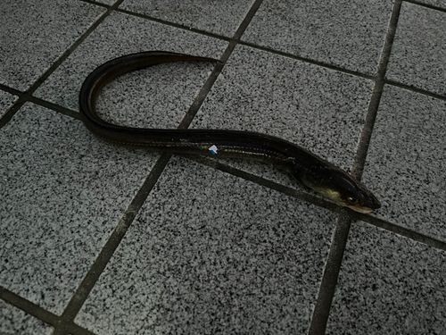 ベイサイドビーチ坂