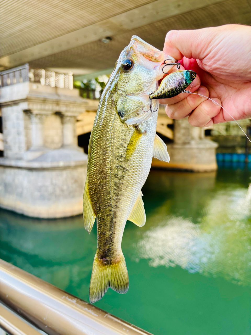 JACKALL BPM 2PCS B2-C65MLの最安値・インプレ・釣果 | 本音の口コミが