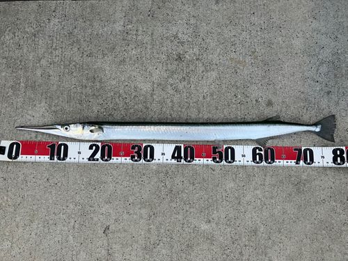 金沢水際線緑地（福浦岸壁）