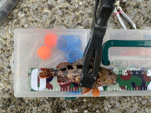 本牧海づり施設