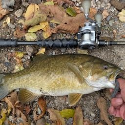 スモールマウスバス