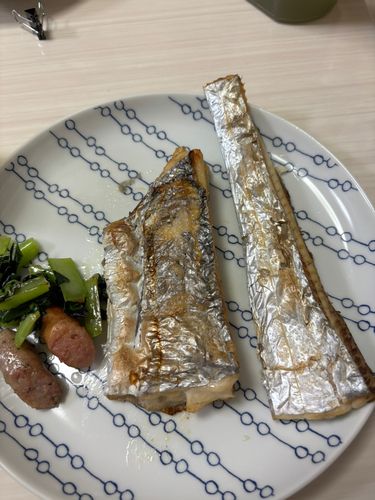 タチウオの釣果