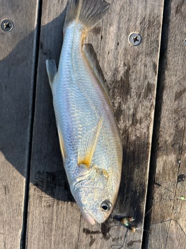 小名浜港アクアマリンふくしま周辺