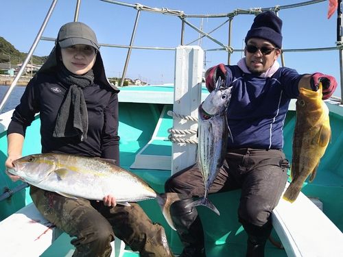 カンパチの釣果
