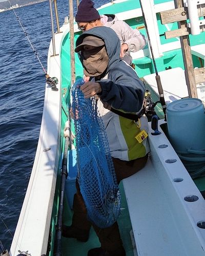 カツオの釣果