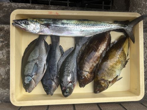 葉山釣り具センター付近